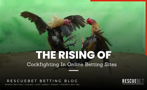 online cockfighting game|Cockfight Chronicles: Breed Champions, Bet Wisely, Become .